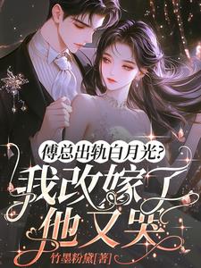 傅总出轨白月光？我改嫁了他又哭最新小说阅读