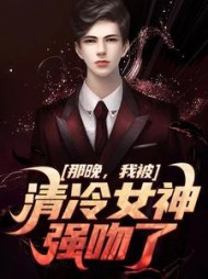 那晚，我被清冷女神强吻了小说阅读