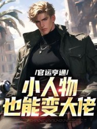 官运亨通：小人物也能变大佬小说阅读