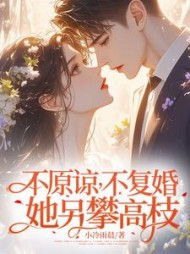 不原谅，不复婚！她另攀高枝！阅读小说阅读