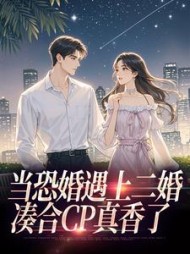 当恐婚遇上二婚：凑合CP真香了小说阅读