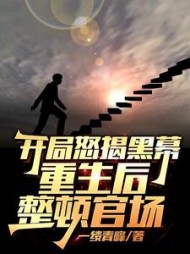 开局怒揭黑幕，重生后整顿官场阅读小说阅读