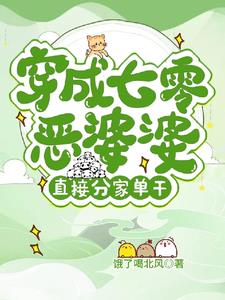 穿成七零恶婆婆？直接分家单干！小说阅读