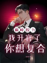 巅峰权力：我升官了你想复合小说阅读