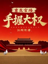 重生官场：手握大权！小说阅读