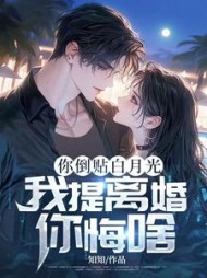 你倒贴白月光，我提离婚你悔啥阅读小说阅读