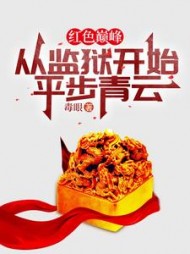 红色巅峰：从监狱开始平步青云小说阅读