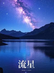 流星+后续小说阅读