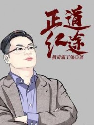 正道红途李初年童肖媛小说阅读