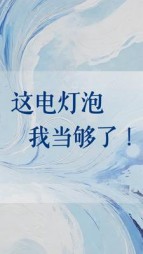 这电灯泡我当够了(尼禄姐姐)阅读小说阅读