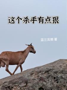 这个杀手有点狠后续+番外小说阅读