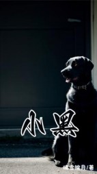 小黑后续+番外小说阅读