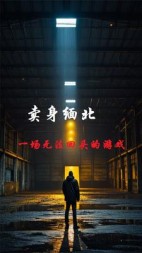 卖身缅北：一场无法回头的游戏+后续小说阅读