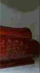 陪嫁血棺+后续小说阅读