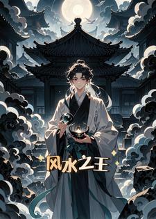 风水之王(旧爱书写)阅读小说阅读