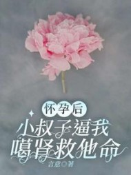 怀孕后，小叔子逼我噶肾救他命后续+番外小说阅读