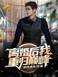 离婚后我重归巅峰萧何小说阅读