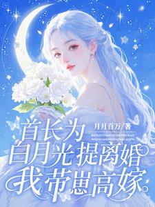 首长为白月光提离婚，我带崽高嫁最新小说阅读