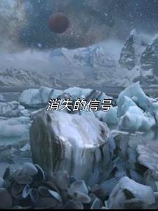 消失的信号(七个饼干)阅读小说阅读