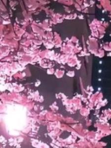 穿越到了女频+后续小说阅读