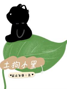 土狗小黑后续+番外小说阅读