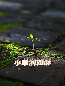 小雨润如酥后续+番外小说阅读