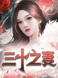 三十之妻姜蓉陈建平阅读小说阅读