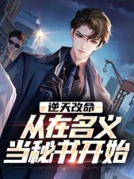 逆天改命，从在名义当秘书开始陈正泽阅读小说阅读