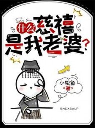 什么？慈禧是我老婆阅读小说阅读
