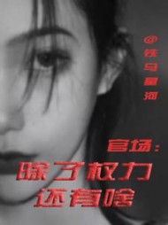 官场：除了权力还有啥最新小说阅读