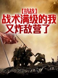 抗战：战术满级的我又炸敌营了阅读小说阅读