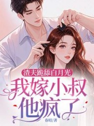 渣夫跪舔白月光，我嫁小叔他疯了阅读小说阅读