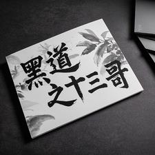 黑道之十三哥最新小说阅读