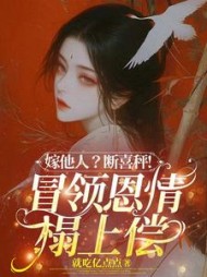 嫁他人？断喜秤！冒牌恩情榻上偿小说阅读