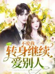 不爱我转身继续爱别人小说阅读