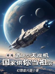 开局造空天战机，国家供你当祖宗阅读小说阅读