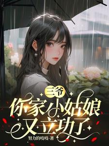 三爷，你家小姑娘又立功了阅读小说阅读