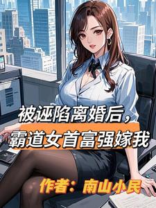 被诬陷离婚后，霸道女首富强嫁我阅读小说阅读
