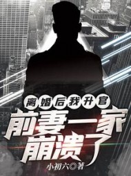 离婚后我升官，前妻一家崩溃了阅读小说阅读