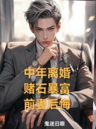 中年离婚，赌石暴富，前妻后悔阅读小说阅读