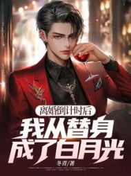离婚倒计时后：我从替身成了白月光？小说阅读