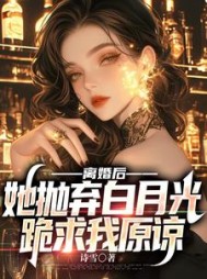 离婚后，她抛弃白月光跪求我原谅小说阅读