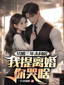 结婚三年未同房，我提离婚你哭啥小说阅读