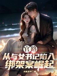 官路：从与女书记陷入绑架案崛起阅读小说阅读