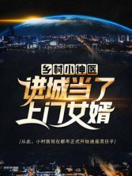 乡村小神医：进城当了上门女婿小说阅读