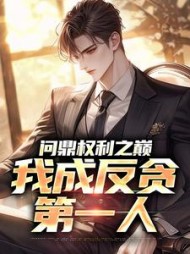 问鼎权利之巅，我成反贪第一人小说阅读