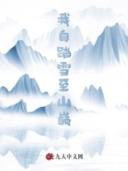 我自踏雪至山巅庄岩柳琴小说阅读