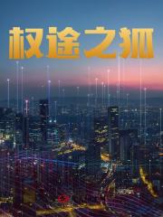 权途之狐沈荡阅读小说阅读