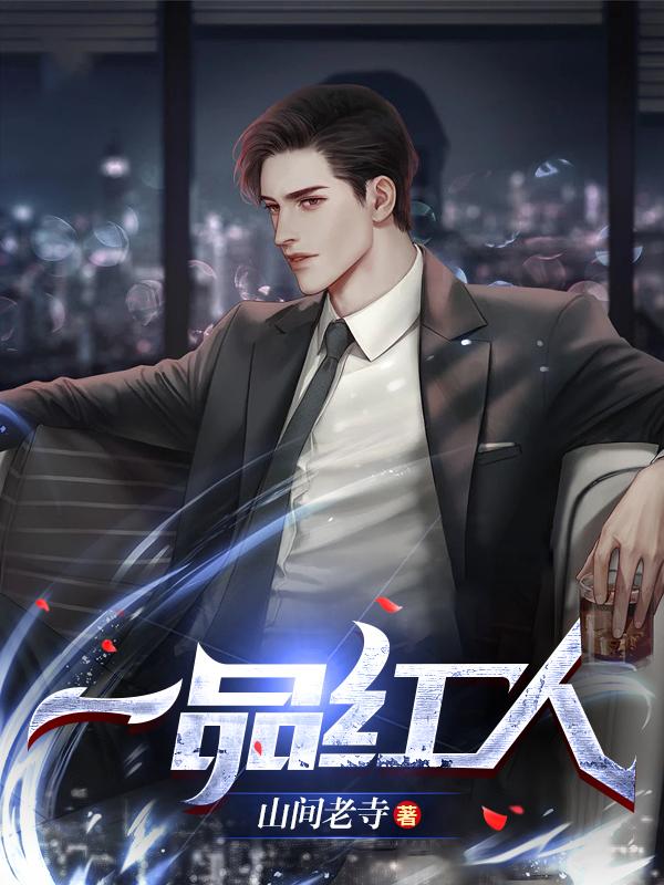一品官道小说阅读