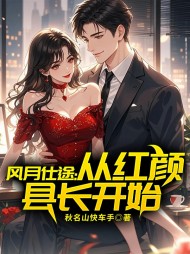 风月仕途：从红颜县长开始阅读小说阅读